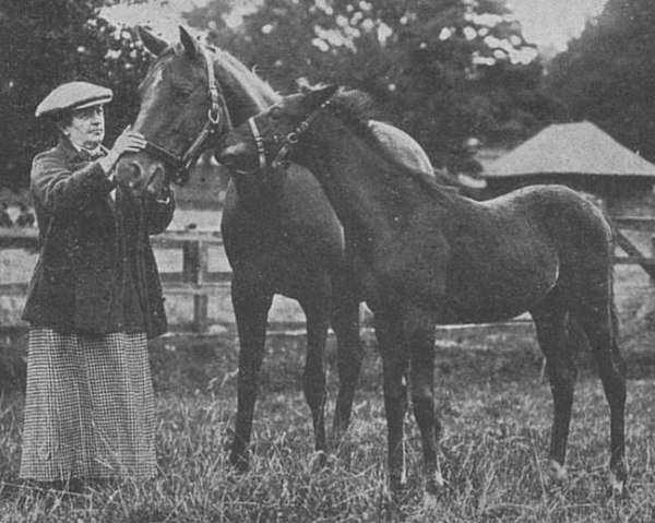 Lady James Douglas bred Gainsborough.