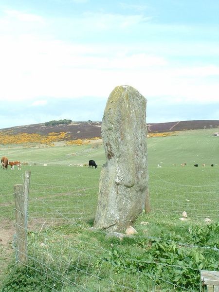 File:Lang Stane of Auquhollie.jpg