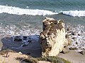 Noting the sea at La Piedra, Malibu, California, by Alfredo Hernandez