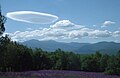 Altocumulus lenticularis with Cumulus mediocris