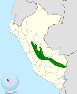 Distribución geográfica del saltarín coroniceleste.
