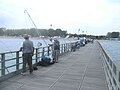 Seebrücke von Lido di Volano, mit Hobby-Fischern, die an Metallrahmen hängende Fangnetze ins Meer halten.