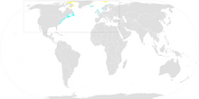 Little Auk ebird data map.png