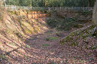 The pit at Little Heath, a SSSI Little Heath Pit 4.JPG