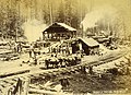 Logging operation showing a sawmill, Washington, ca 1889 (BOYD+BRAAS 72).jpg