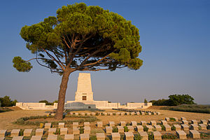 Lone Pine Pemakaman 2013.07.26.jpg