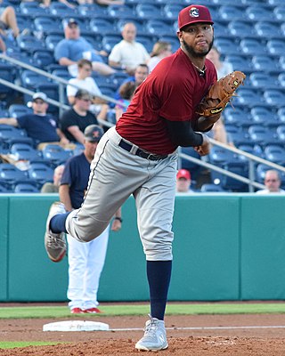 <span class="mw-page-title-main">Luis Oviedo</span> Venezuelan baseball player (born 1999)