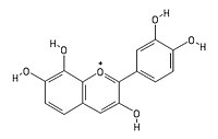 Melacacinidin makalesinin açıklayıcı görüntüsü