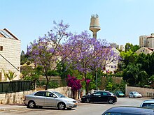 Файл:Maale_Adumim_02_04-05-17_14-01.jpg