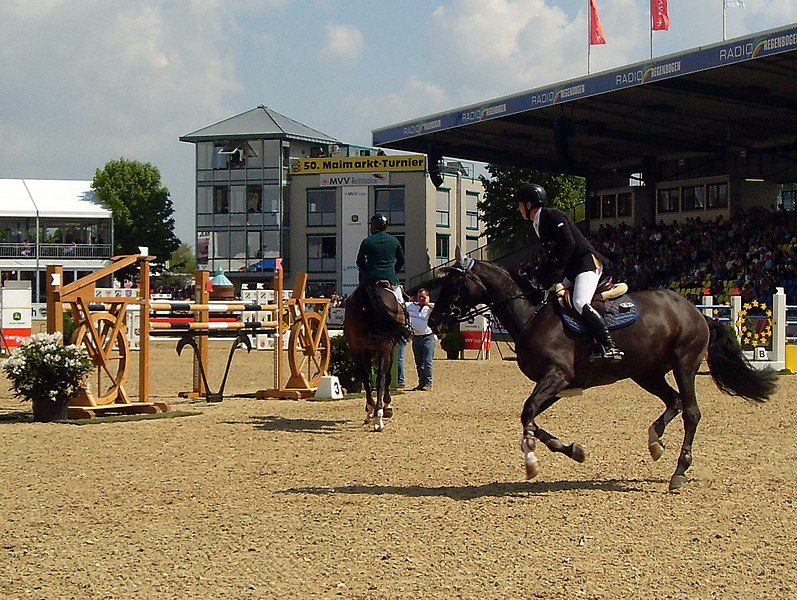 File:Maimarkt Mannheim - Springreiten (16).JPG