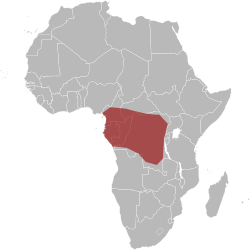 Map-Africa snakes Naja-multifasciata.svg