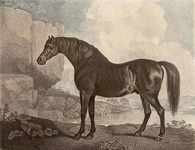 Marske (horse)