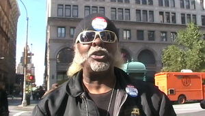 2010 New York Gubernatorial Election