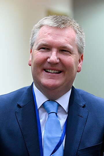 Michael McGrath (Irish politician)