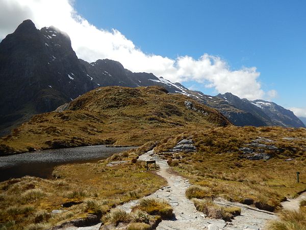 Mountain pass on Milford Track