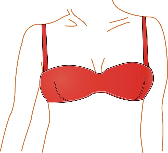 File:Modern bra bandeau.jpg