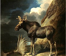 The Moose (1770), oil on canvas, 61 x 70.5 cm., Hunterian Art Gallery