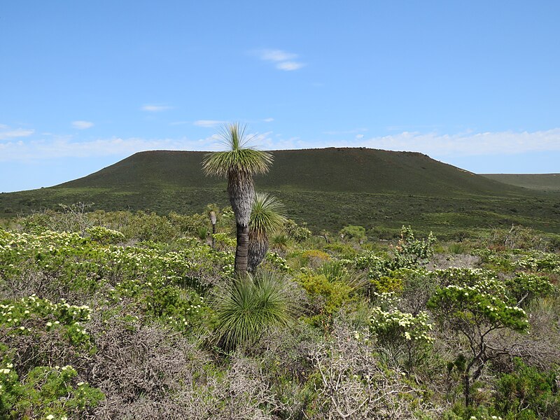 File:Mount Michaud, Lesueur National Park, September 2023 04.jpg