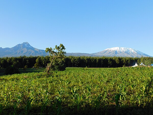 Mount Kilimanjaro