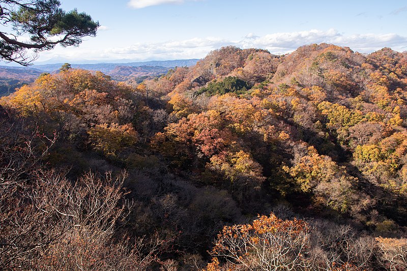 File:Mt.Nabeashi 43.jpg