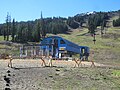 Mt. Bachelor Ski Resort (2014)