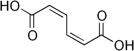 Skeletal formula of cis,cis-muconic acid