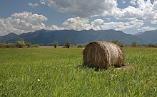 Murnauer Moos Marsh 2.jpg