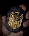 NCIS Badge in hand.jpg