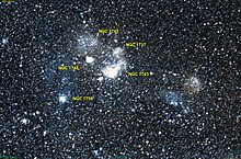 NGC 1743 DSS.jpg