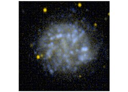 NGC 2500