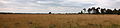 Nationaal Park Drents-Friese Wold. Panoramisch uitzicht op verruigd heideveld.