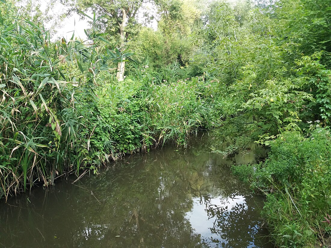 File:Nemyshlia in Kharkiv (2019-07-26).jpg