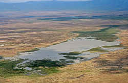 Zaštićeno područje Ngorongoro