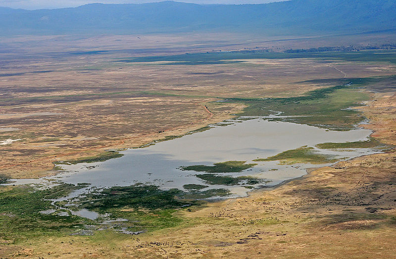 File:Ngorongoro Crater Overview.jpg