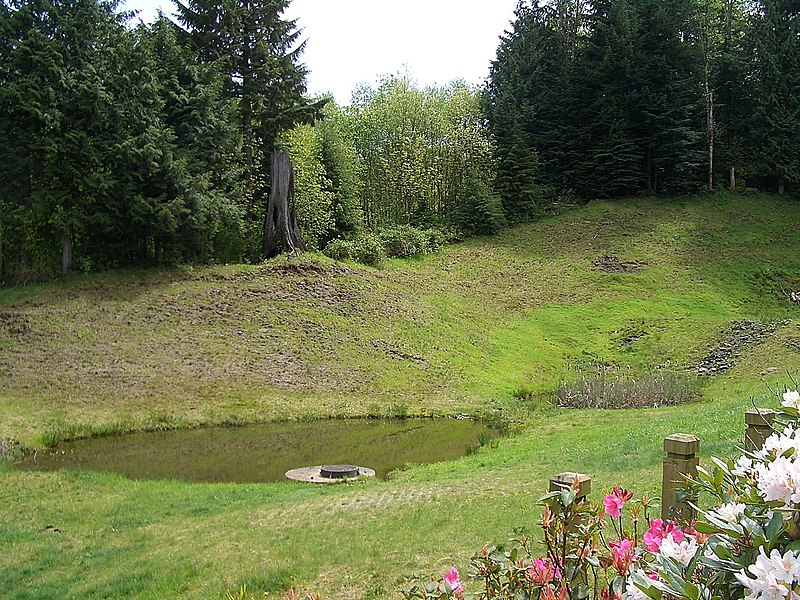 File:North-Bend-Uplands-Runoff-pond-3942.jpg