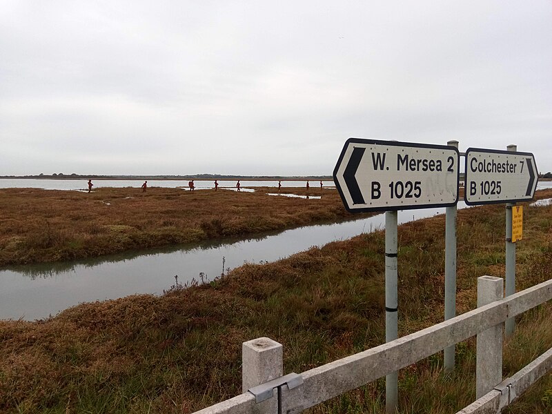 File:Not Just a Name- Mersea Island sculpture and signs 2019.jpg