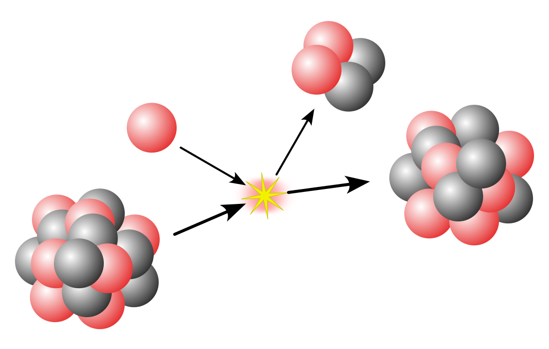 Neutron–proton ratio