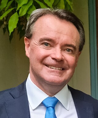 <span class="mw-page-title-main">Michael O'Brien (Victorian politician)</span> Australian politician