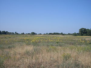 острів Великий Кінський