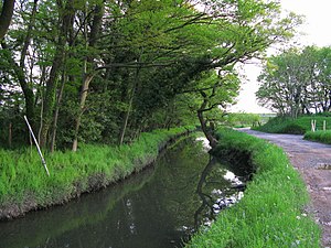 上尾市領家付近を流れる江川と河畔林。(2010年5月)