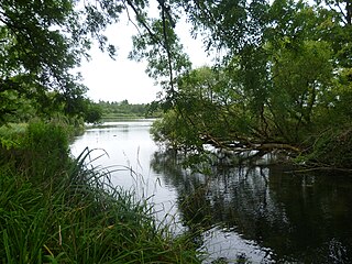 Alresford Pond