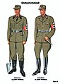 Organisationsbuch der NSDAP 1938. 66. Reichsarbeitsdienst (RAD) uniforms