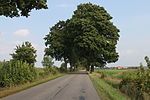 English: Road in Orzyny. Polski: Droga we wsi Orzyny.