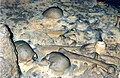 Os humains calcifiés dans la grotte de Linars.
