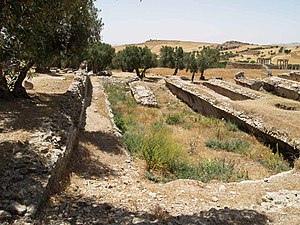 P6212581 dougga.jpg