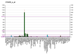 PBB GE SCN3A 210432 s at fs.png