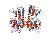 1ewk: Kristalna struktura ekstracelularnog domena metabotropnog glutamatnog receptora 1 u kompleksu sa glutamatom