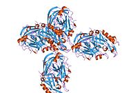 PDB 1xn3 EBI.jpg