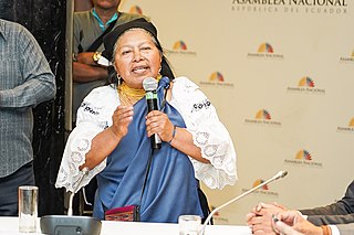 <span class="mw-page-title-main">Blanca Chancoso</span> Ecuadorian indigenous leader (born 1955)