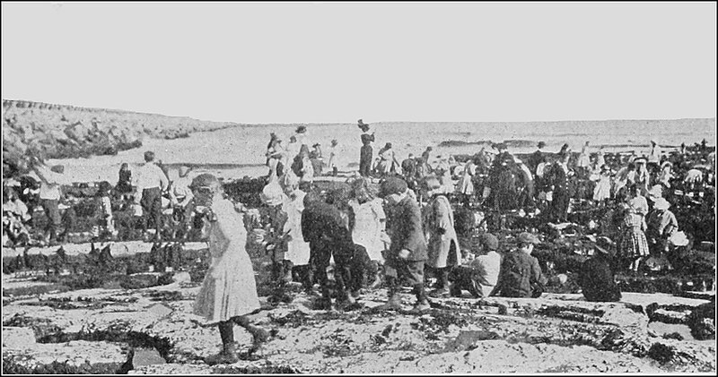 File:PSM V84 D347 Children collecting at the seaside.jpg